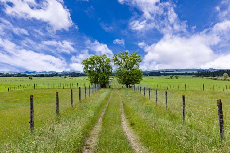 331 Porangahau Road Waipukurau and Surrounds_12