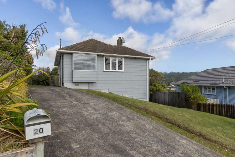 20 Spur Grove Titahi Bay_19