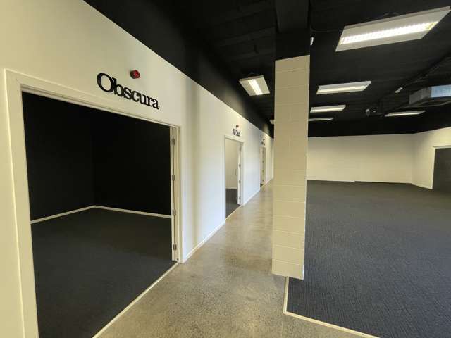 37 Crummer Road Grey Lynn_2