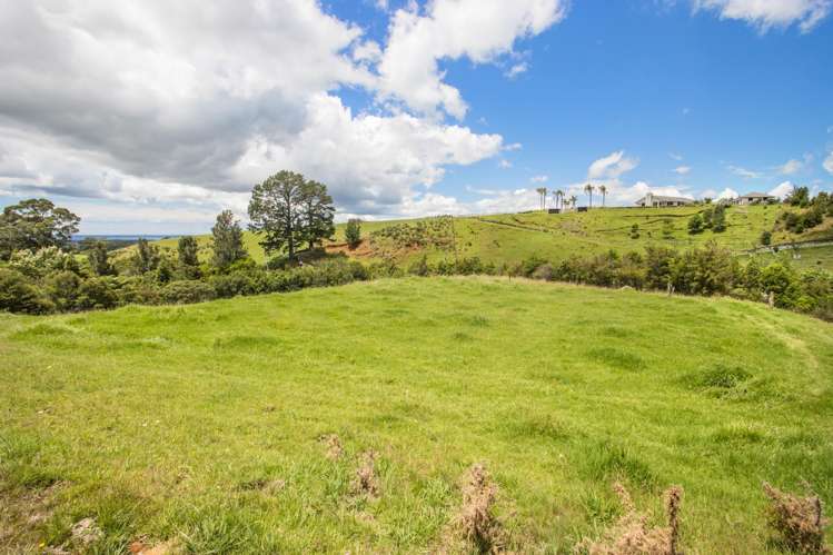 383A Busby Road Katikati_6