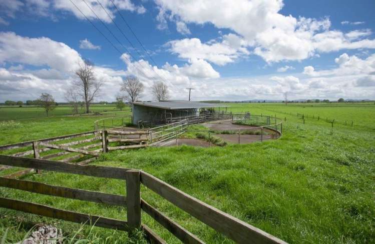 211 Shewan Road Gordonton_12