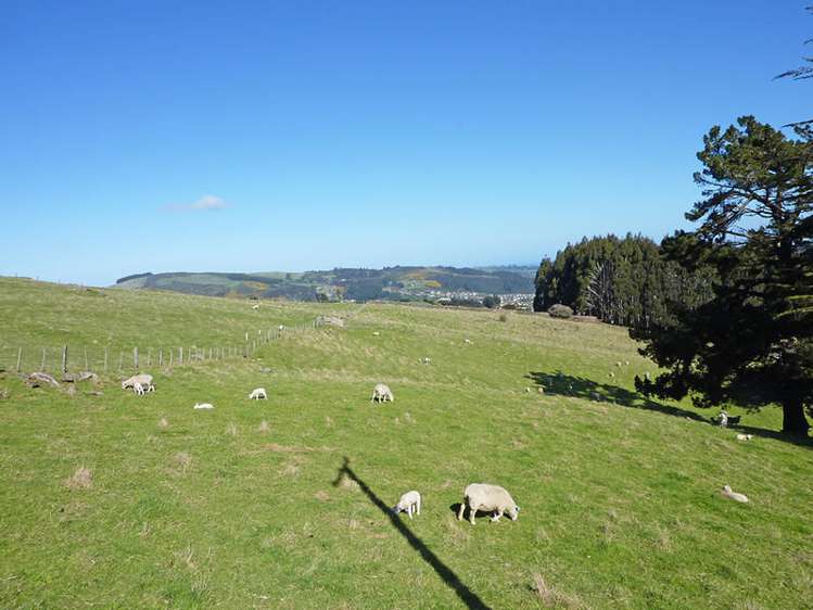 58 Cowan Road Pine Hill_2