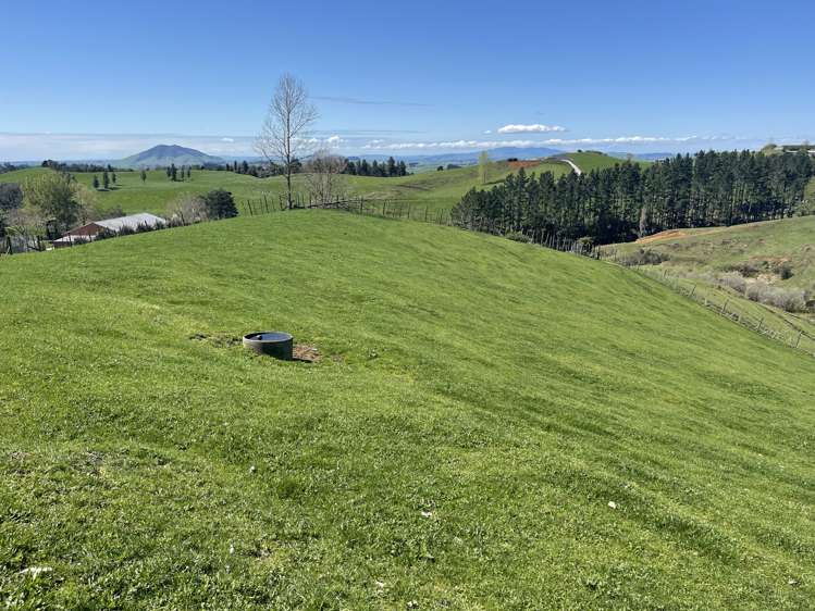 481 Honikiwi Road RD3 Otorohanga_5