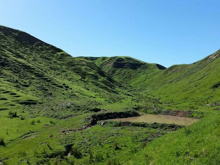 1584a Brunswick Road Kai Iwi_5