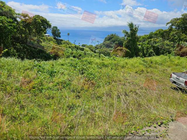 Address withheld Savusavu_1