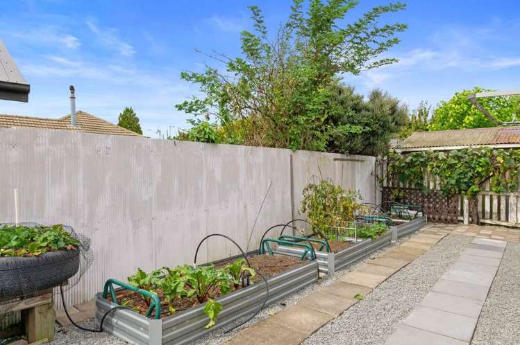 58 Colman Avenue Sockburn_19