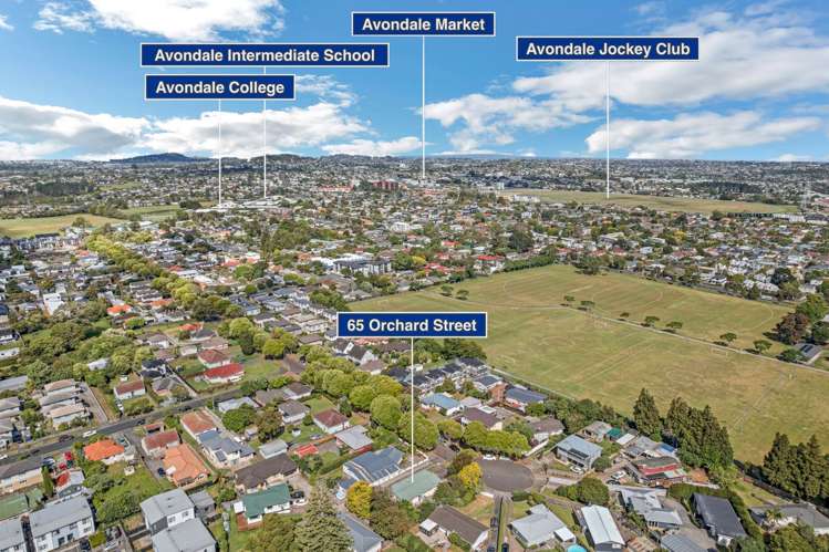 65 Orchard Street Avondale_22