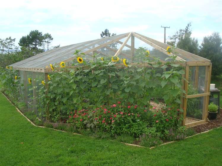 292 Lindemann Road Hauraki Surrounds_15