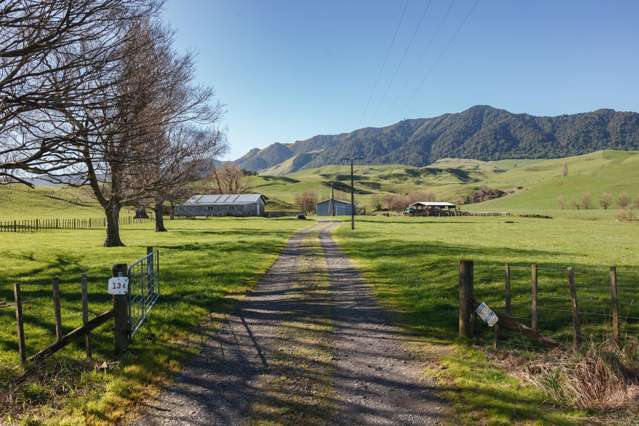134 Old Te Aroha Road Te Poi_1