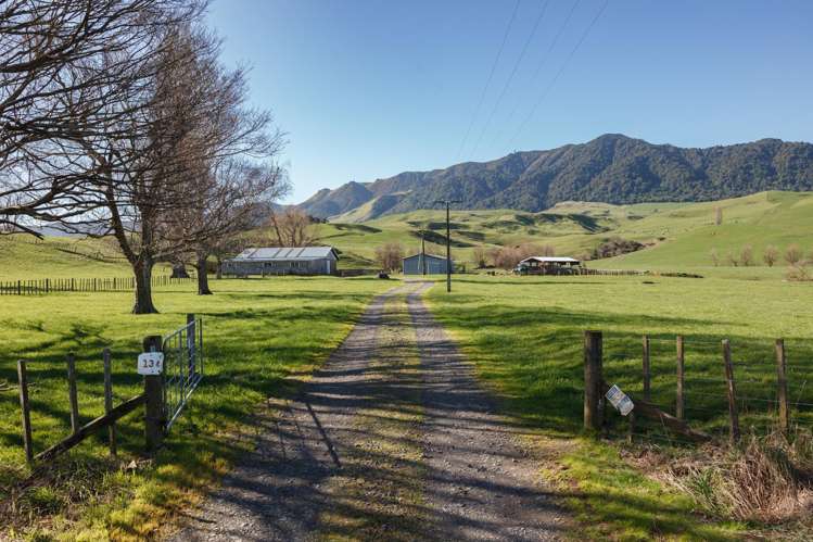 134 Old Te Aroha Road Te Poi_1