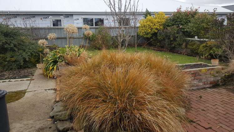 28 Tedder Street Saint Kilda_10