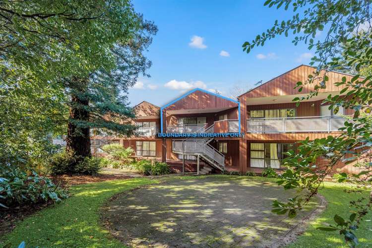 17/3 The Avenue Albany_10