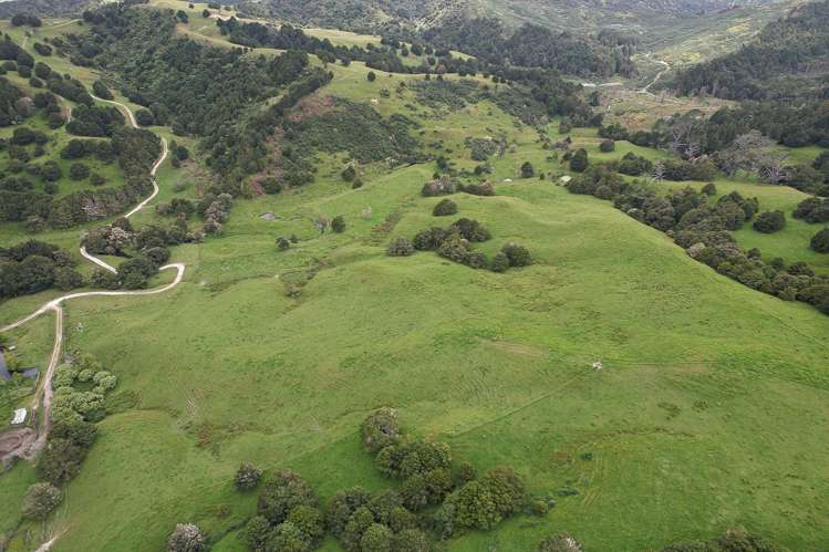 Lot 2/347 Porter Road Paparoa_10