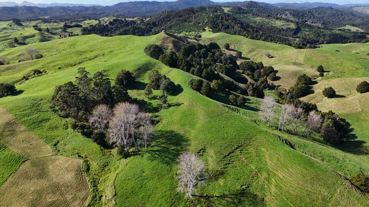 30C Te Ranga Road Kaeo_8