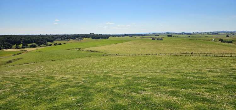 122 Middleton Road Waimahaka_11