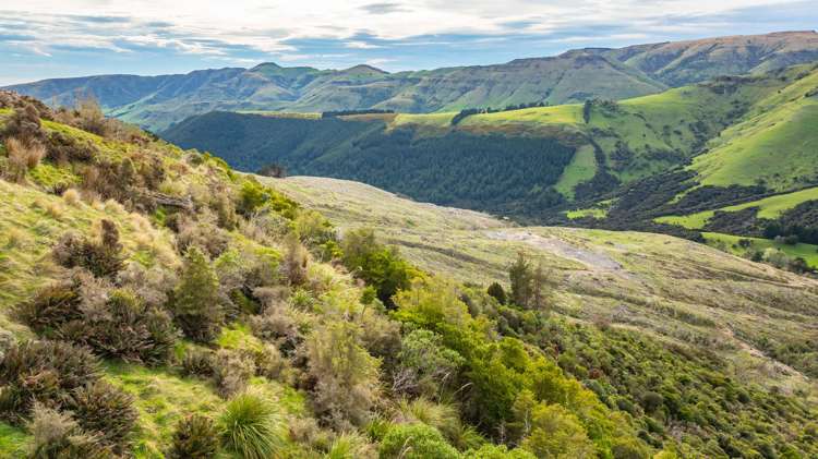 1301 Western Valley Road Port Levy_10