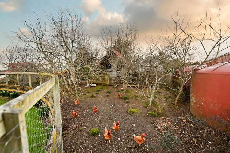 143 Wallace Road Temple View_37