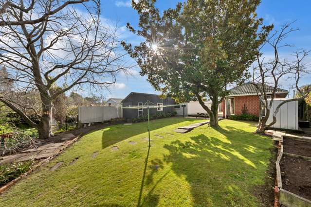 7 Palmside Street Somerfield_3