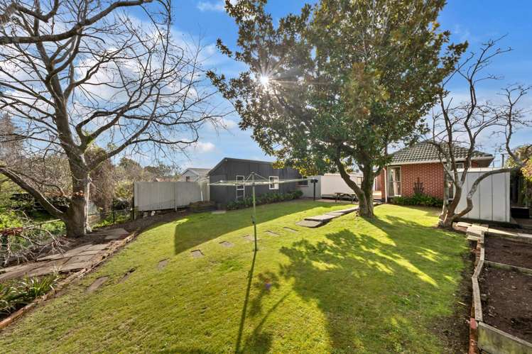 7 Palmside Street Somerfield_3