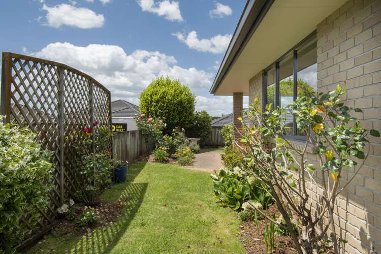 33 Malta Crescent Katikati_12