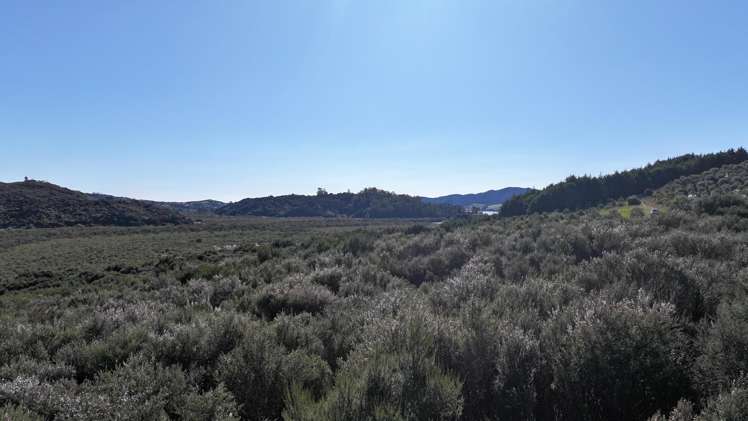 105 Frantoio Ridge Road Mangonui_3