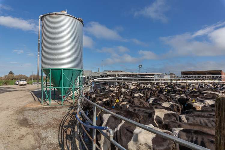 428 Leeston Road Springston_10