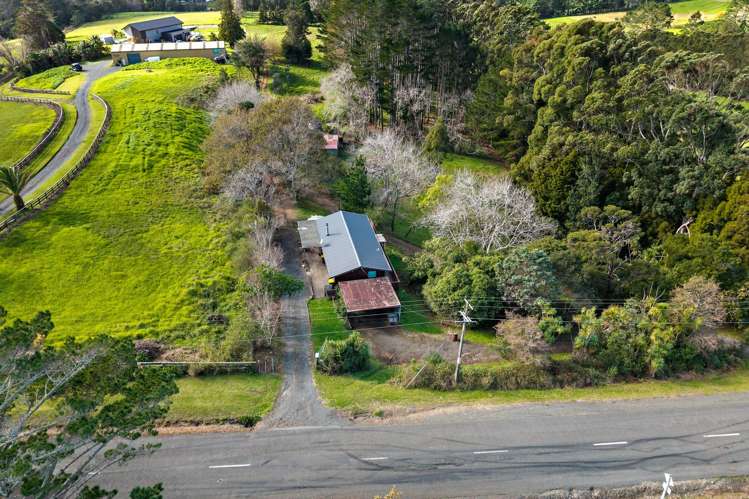 161 Puke Road_2