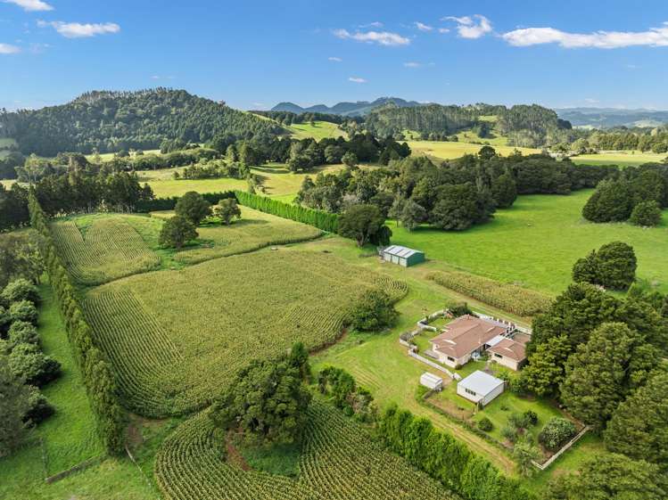 397 Three Mile Bush Road Te Kamo_27