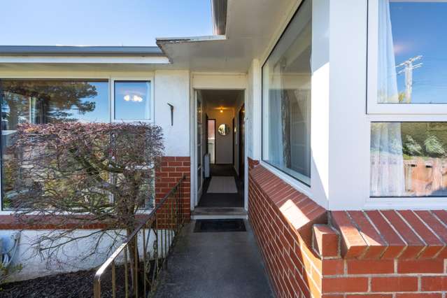 411 Pine Hill Road Pine Hill_2