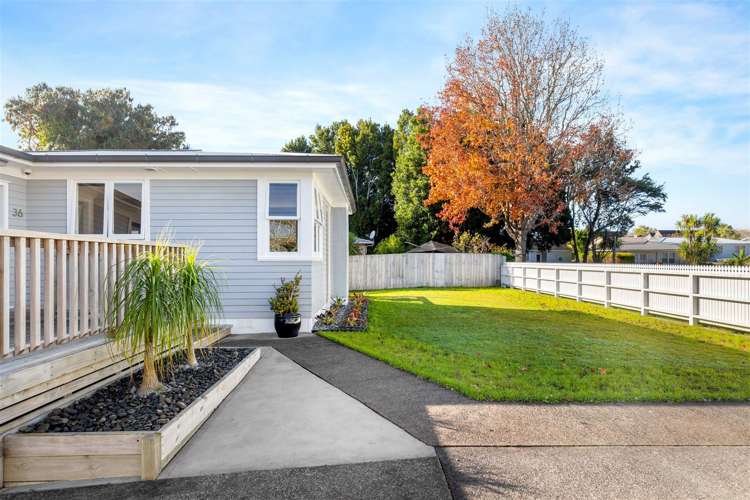 36 Mildmay Road Henderson_17