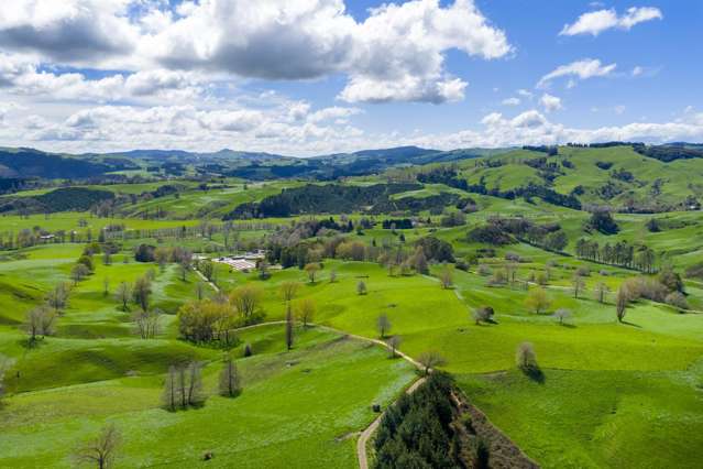 4/366 Karapiro Road Karapiro_2