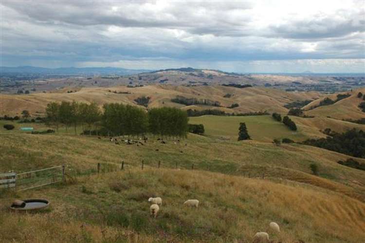 Waiti Road Tahuna_40