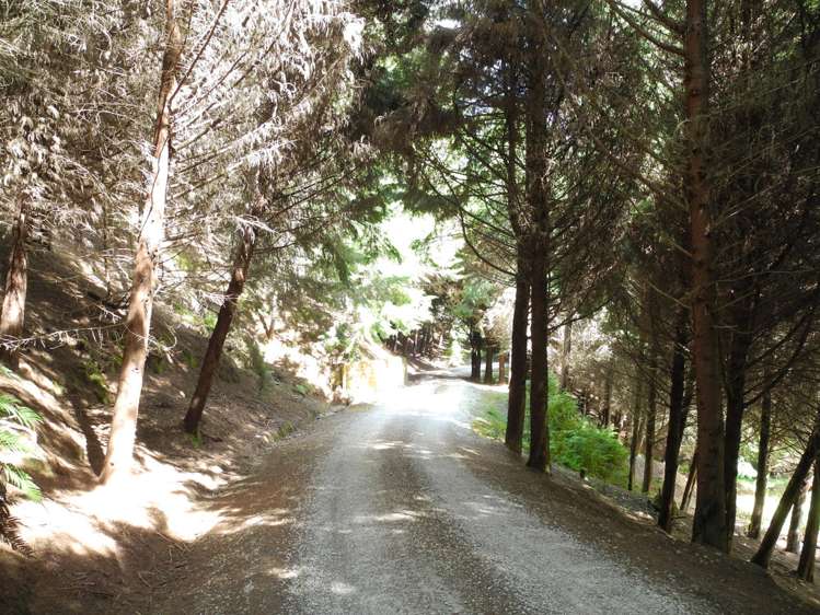 597 Waitomo Valley Road Otorohanga_7