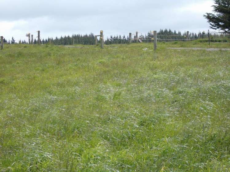 222 Morgan Road Clinton and Surrounds_6