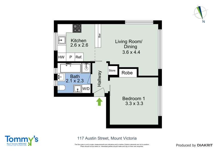 8/117 Austin Street Mount Victoria_11