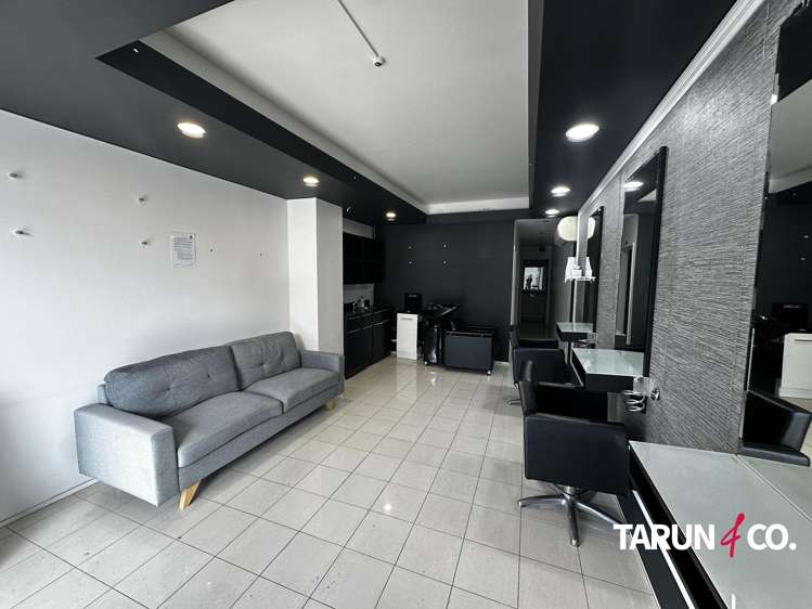 393 Parnell Road Parnell_4