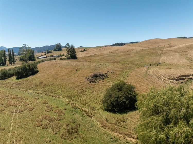 Tadmor-Bushend Road Tapawera_12