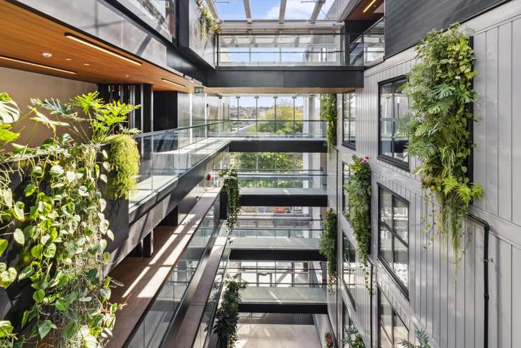 409/4 Bute Road Browns Bay_12