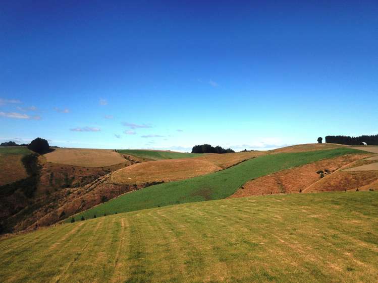 890 Mount Stuart Road Balclutha_11