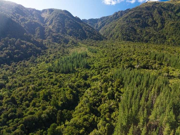 Bell Hill Road Inchbonnie_21