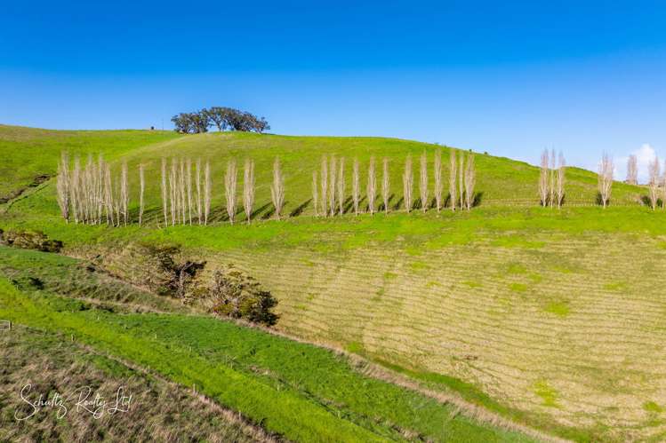 Massey Road Maungaturoto_5