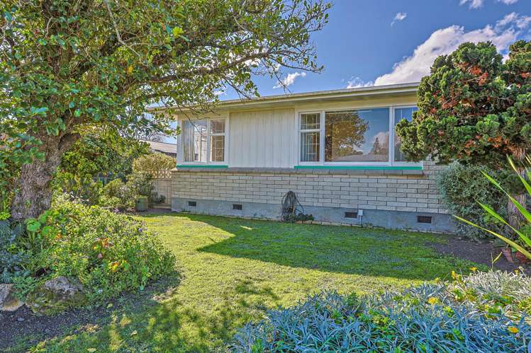 23 Upham Street Havelock North_19