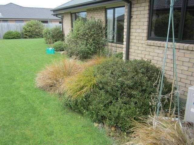 30 Mccauley Street Rolleston_1