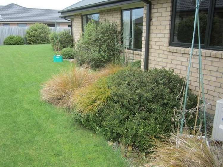 30 Mccauley Street Rolleston_1