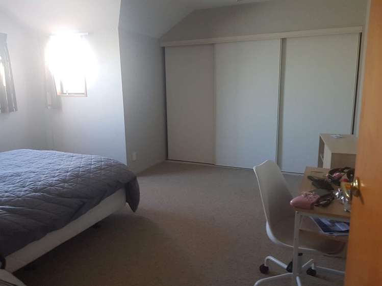 55 Lowry Avenue Redwood_6