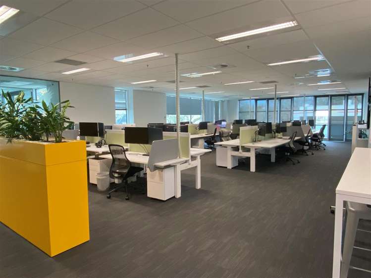 L2 130 Grantham Street Hamilton Central_1