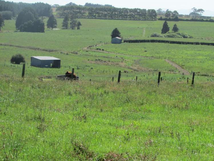 311 Hunt Road Pukekawa_7