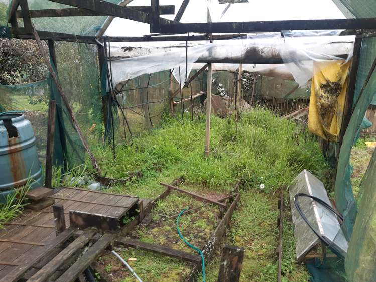 6762 State Highway 12 Waimamaku_20