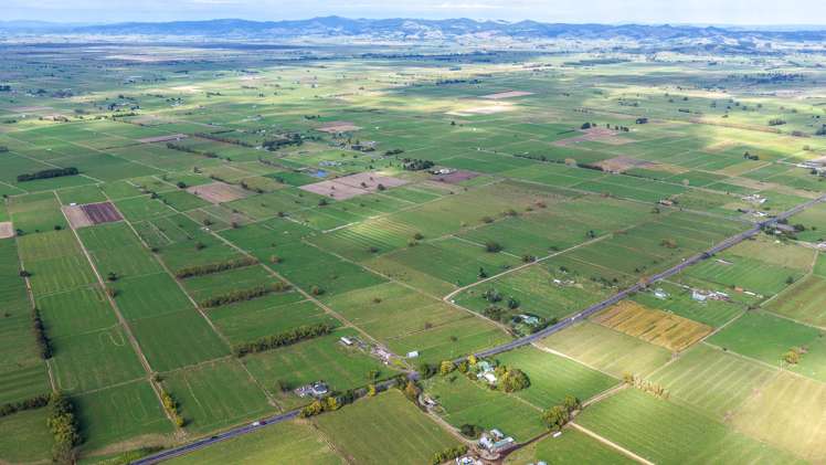 1338 State Highway 25 Pipiroa_23