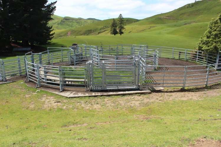 378 Ridgemount Road Tutira_7